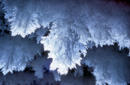 [IceCrystals4.jpg]
Large crystal hanging from the ceiling.