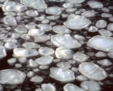 [IcePancakes.jpg]
 Sea ice forming pancakes.