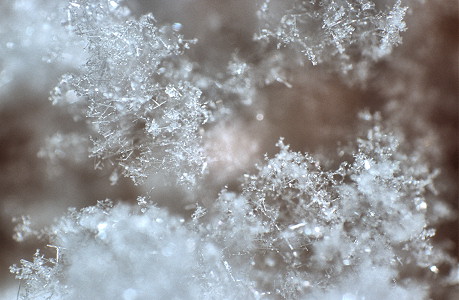 [SnowCrystals1.jpg]
Surface snow as seen on Emanuele's collection plate. On this image and the following ones, many different shapes can be seen: needles, bullets, balls, flakes, cylinders...