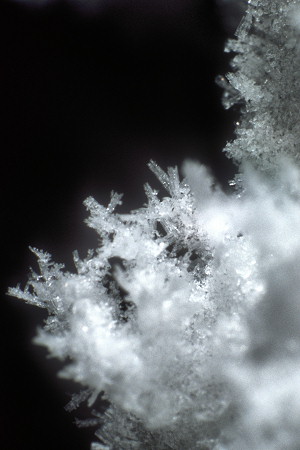 [SnowCrystals2.jpg]
Surface snow crystals.