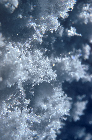 [SnowCrystals4.jpg]
More snow crystals.