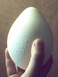 [EmperorEgg.jpg]
An emperor penguin's egg.