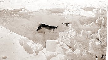 [ANT16.jpg]
Ice Cave — you stay away from them as you never know how safe the ice is or how deep the cave.