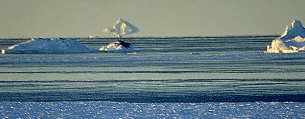 [Mirage.jpg]
Mirage of an iceberg