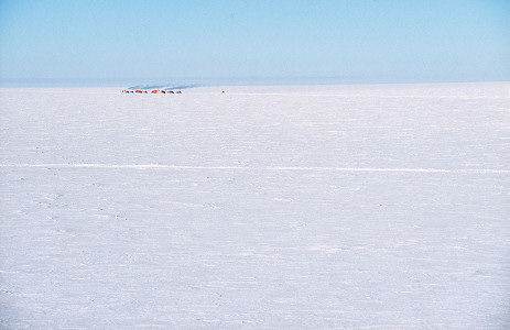 [TraverseFarAway.jpg]
The Traverse looking very isolated on the wide Antarctic Plateau.