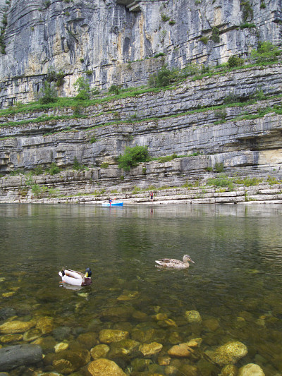 [20080509_153737_ArdecheDucks.jpg]
Ducks and canoes.