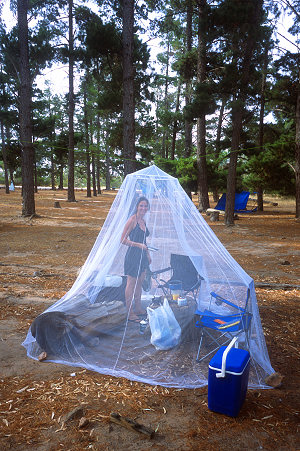 [FlyNetCooking.jpg]
Just plain impossible to be at camp without taking shelter from the flies.