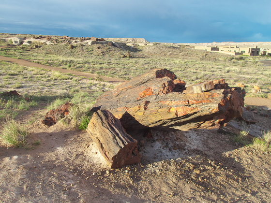 [20190429_175815_PetrifiedForest.jpg]
Petrified Forest NP.