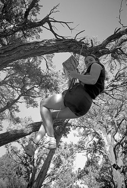 [HangingTreeBelay.jpg]
Jenny relaxing on a hanging tree belay. What a better way to read the guidebook ?