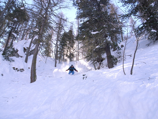 [20060306_0783_SkiSerreChevalier.jpg]
Forest skiing in Serre Chevalier.