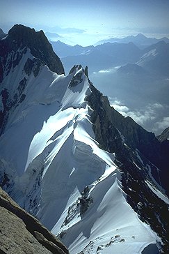 [AreteRochefort.jpg]
The Rochefort ridge and the Rochefort Dome (top left) as seen from the summit of the Giant's Tooth. Way down is the Italian valley of Courmayeur.