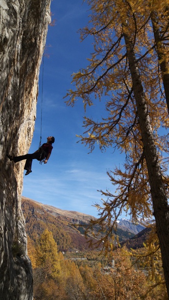 [20091101_114359_Champsaur.jpg]
Autumn colors and resting off hard moves.