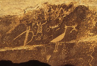 [PF_Petroglyph.jpg]
Anasazie petroglyph of a ibis (?) eating a frog.