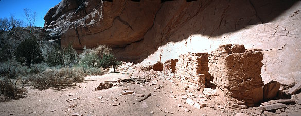 [AnasazieHousePano.jpg]
The first ruins down canyon.