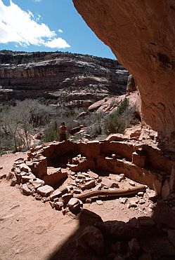 [KivaUnderRoof.jpg]
Another Kiva at another site. Most sites with more than one house had a Kiva.