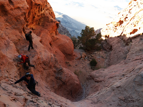 [20111106_072510_ThamudeanRd.jpg]
Plenty of tricky but short moves to gain higher grounds. There's only 700m to gain in elevation, but spread over a labyrinthine 2km, it takes quite a while.