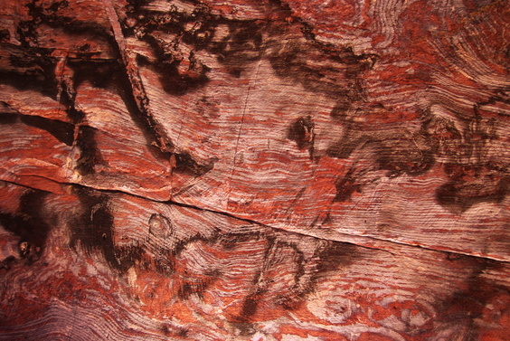 [20111108_114259_Petra.jpg]
Surprisingly colorful ceiling inside one of the tombs. Did the fires increase the natural saturation of the rock ? The thin lines are the precise carving marks.