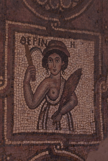 [20111108_123626_Petra.jpg]
Mosaic in one of the more recent buildings (a byzantine church).