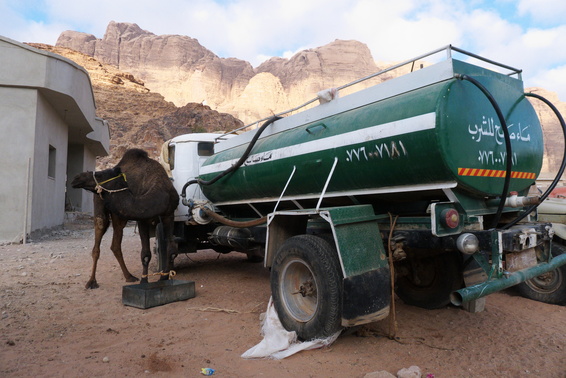 [20111119_074327_Camel.jpg]
Diesel-powered camel ?
