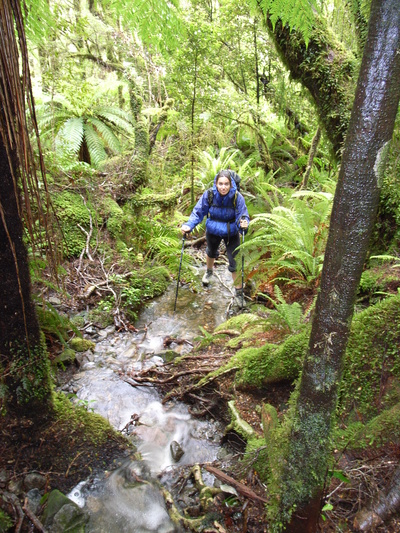 [20051221_0186_RainForest.jpg]
Jenny getting soaked in the aptly named rainforest on the approach to the Chasm wall, Fjordland.