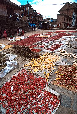 [DryingVegies.jpg]
The backstreets of Bhaktapur were also interesting and colorful: shops selling high-priced (and often false) Cashmere shawls, potter wheels in action, women throwing grain in the air, drying chilli peppers and corns...