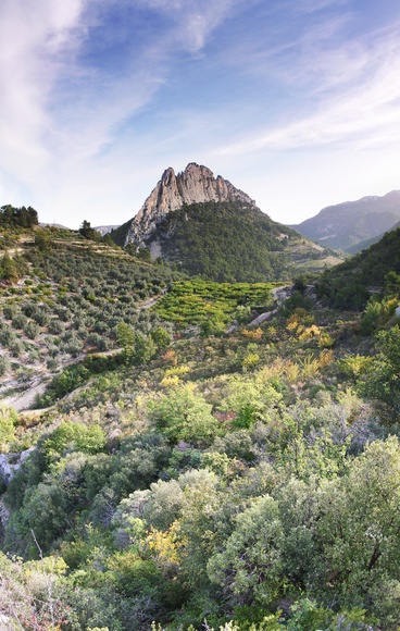 [20061028-StJulienVPano_.jpg]
The south face of St Julien looming above the olive trees.