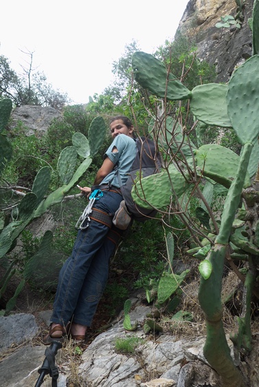 [20121027_103201_Lode.jpg]
Approach trail fraught with perils at the Paretina per Lodè near Siniscola. I even had to take my trusted swiss army knife out to cut some cactus like a machete... To be fair, that's not the approach trail, but the trail linking the two main cliffs. Some shortcut... in sandals.