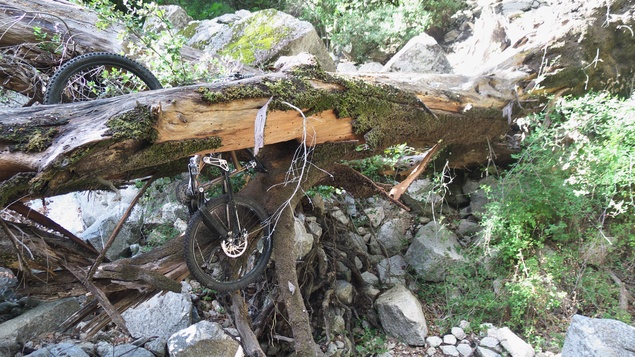 [20121029_122413_CalaLunaMTB.jpg]
Delicate passage in a narrow section of the trail, a large and very rotten tree trunk obstructing the descent. I lowered the bike between the branches and hung it on its handlebars while I downclimbed some other way and recovered it from below.