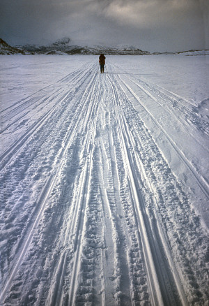 [LakeTracks.jpg]
Snowmobile tracks on Gårtjjávrre lake.