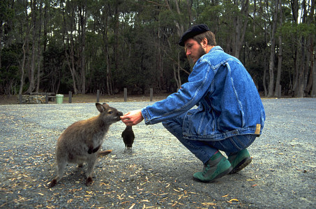 [KangarooFeed.jpg]
Here we are going day hiking on the Overland Track and are met by a bunch of kangaroos and crows on the parking lot. They operate in team so as to steal our potato chips ! Arno, the frenchman with the béret is not part of the local wildlife.