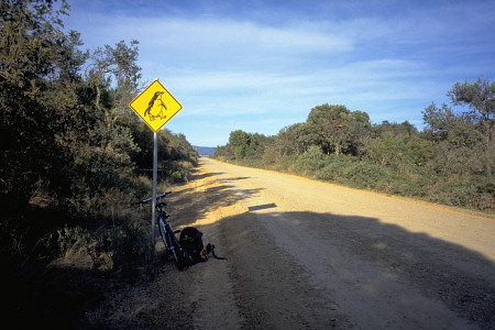 [PenguinSign.jpg]
'Warning: Penguins !'. That's what this sign says on the road crossing the middle of Bruny Island, a long and narrow island south of Tasmania.