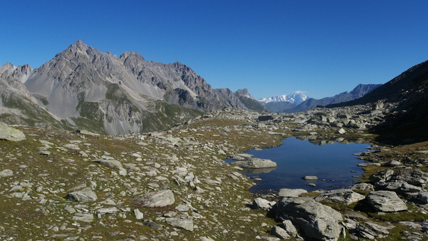 [20100905_102715_PtObservatoire.jpg]
The 3 hour long approach is rewarded with an outstanding view on Mt blanc.