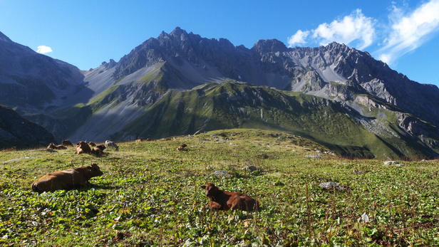 [20100905_171347_PtObservatoire.jpg]
Cows grazing the rumex in front of the Corneillets. Below cheese makers sell their barely prepared fares to the passing hikers.