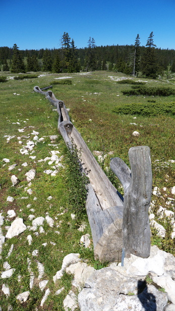 [20110625_113501_PrePeyretBike.jpg]
An old wooden trough seen while mountain bike in the south Vercors, near Pré Peyret.