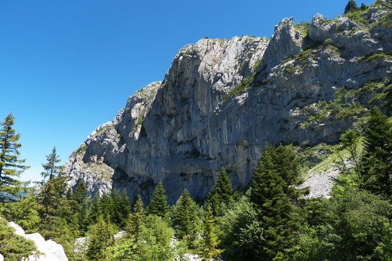 [20110626_122442_ColArcClimb.jpg]
The seldom climbed cliff of the Arc pass.