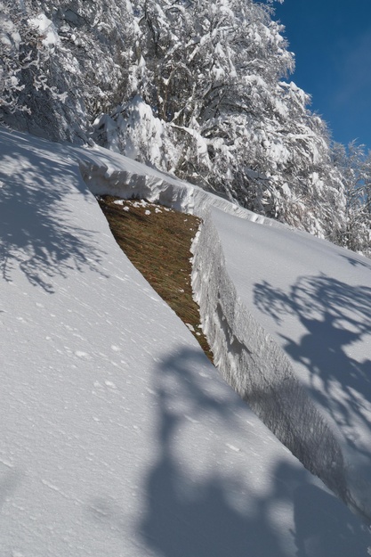 [20121209_115055_Aigaux.jpg]
Still, it was a high risk day and it shows on this depth slide avalanche, about a meter thick, in a small opening between the trees. Trees which were emitting loud cracking noises every once in a while.