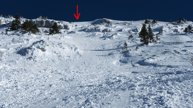 [20140125_143826_LesCrocs_.jpg]
The avalanche seen from where I stopped. I jumped the summit cliff at its best possible location.