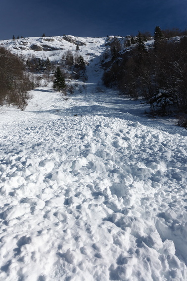 [20140125_151441_LesCrocs.jpg]
The bottom cliff, seen from the bottom of the avalanche.