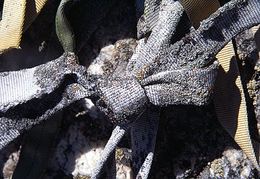 [LichenSling.jpg]
How would you like to rappel off that licheny sling seen on the top of cave crack ? Maybe the lichen actually holds the sling together...