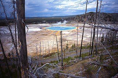 [PrismaticWide.jpg]
The Grand Prismatic spring seen from the top of the nearby hill.