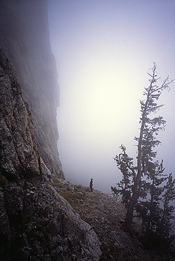 [TetonFog.jpg]
MadDog off route