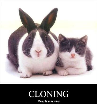 [CloningResultsMayVary.jpg]
Cloning: results may vary
