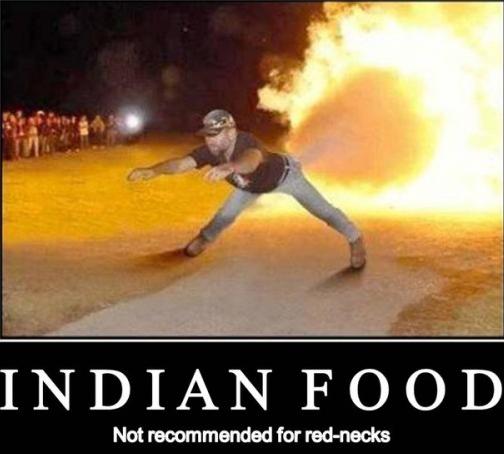 [IndianFoodRedneck.jpg]
Indian food: not recommended for rednecks