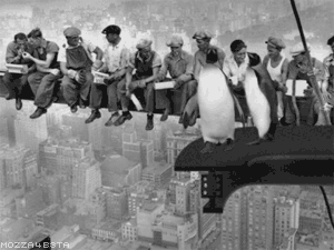 [NY-Penguins.gif]
Penguin suicide.