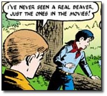 [RealBeaver.jpg]
I've never seen a real beaver.