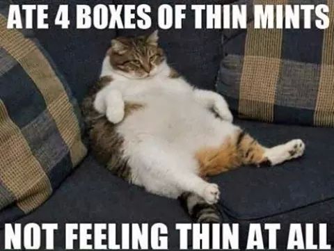 [ThinMints.jpg]
Ate 4 boxes of Thin Mints. Not feeling thin at all...