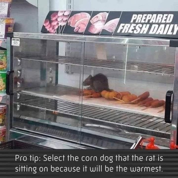 [WarmCornDog.jpg]
Warm corn dogs