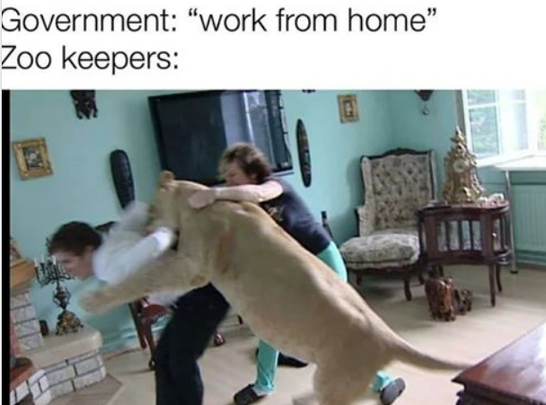 [ZooTeletravail.png]
Work from home zoo keepers