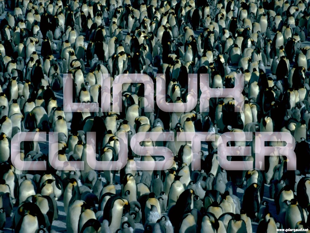 [ManyEmperors_LinuxCluster.jpg]
A cluster of penguins...