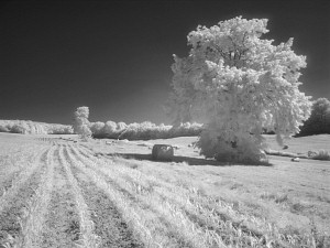 A sample image from my wallpapers